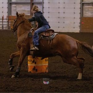 Meet your Posher, Maddy